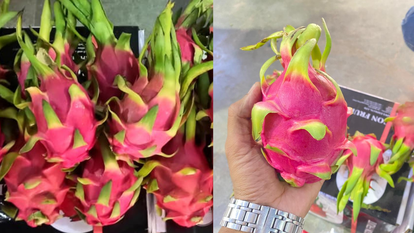 Dragon Fruit Imported from Vietnam