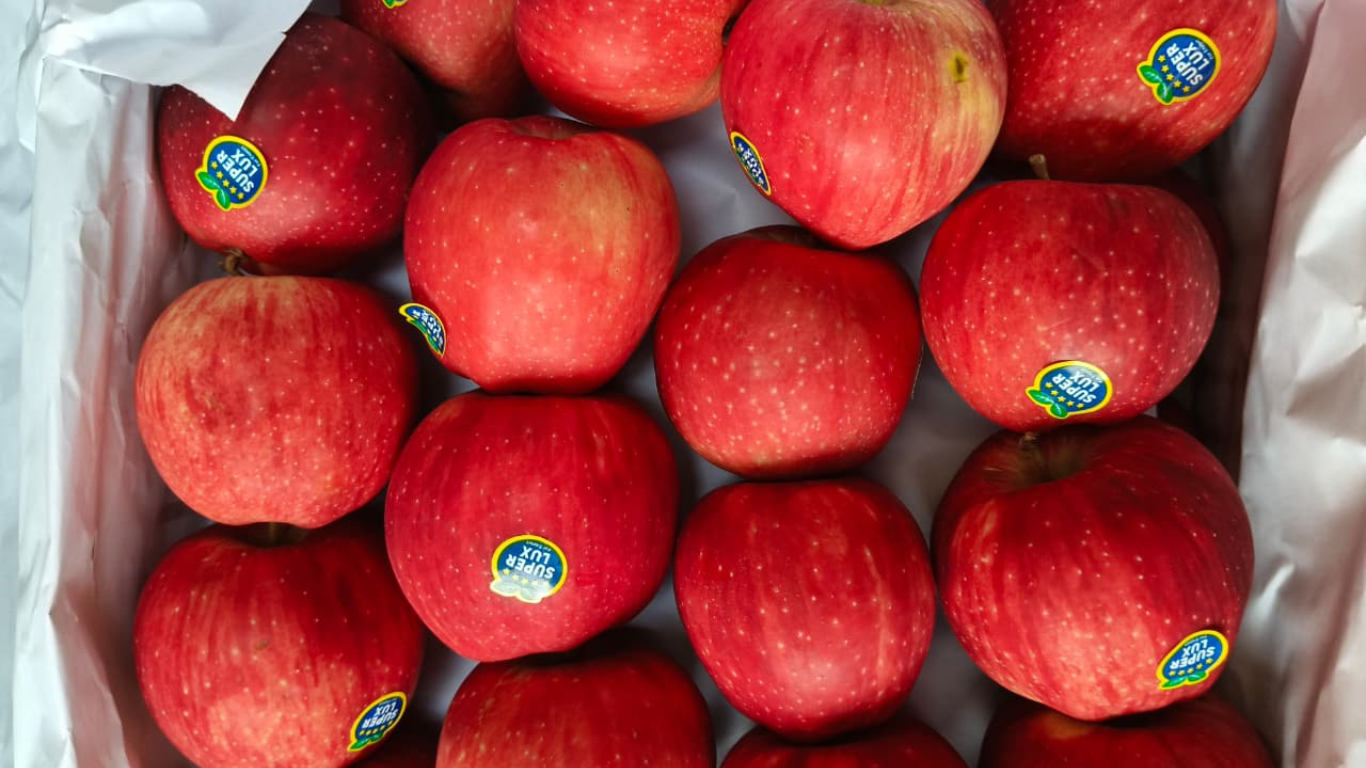 Apple Export from India