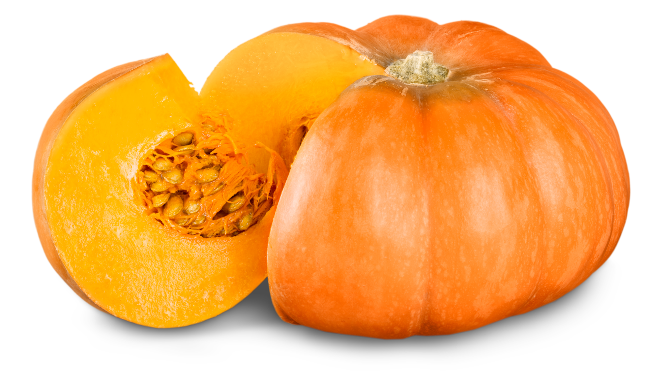 Pumpkin Export