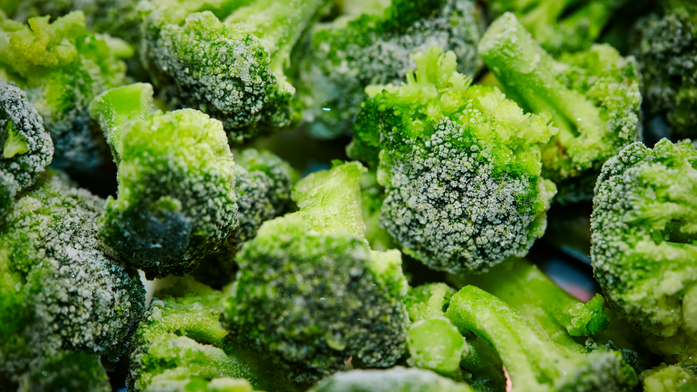 Frozen Broccoli Export