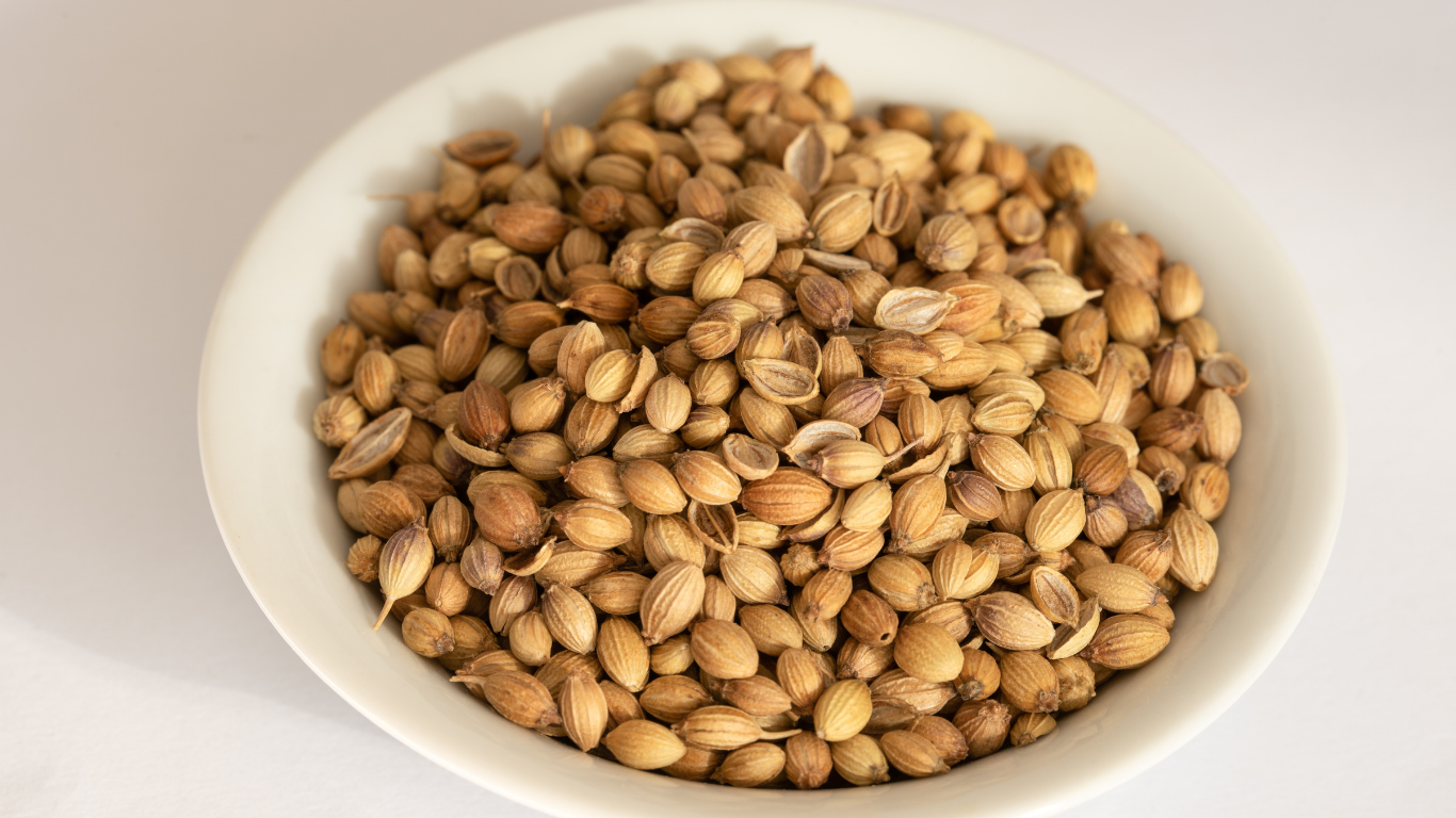 Coriander Seeds Export