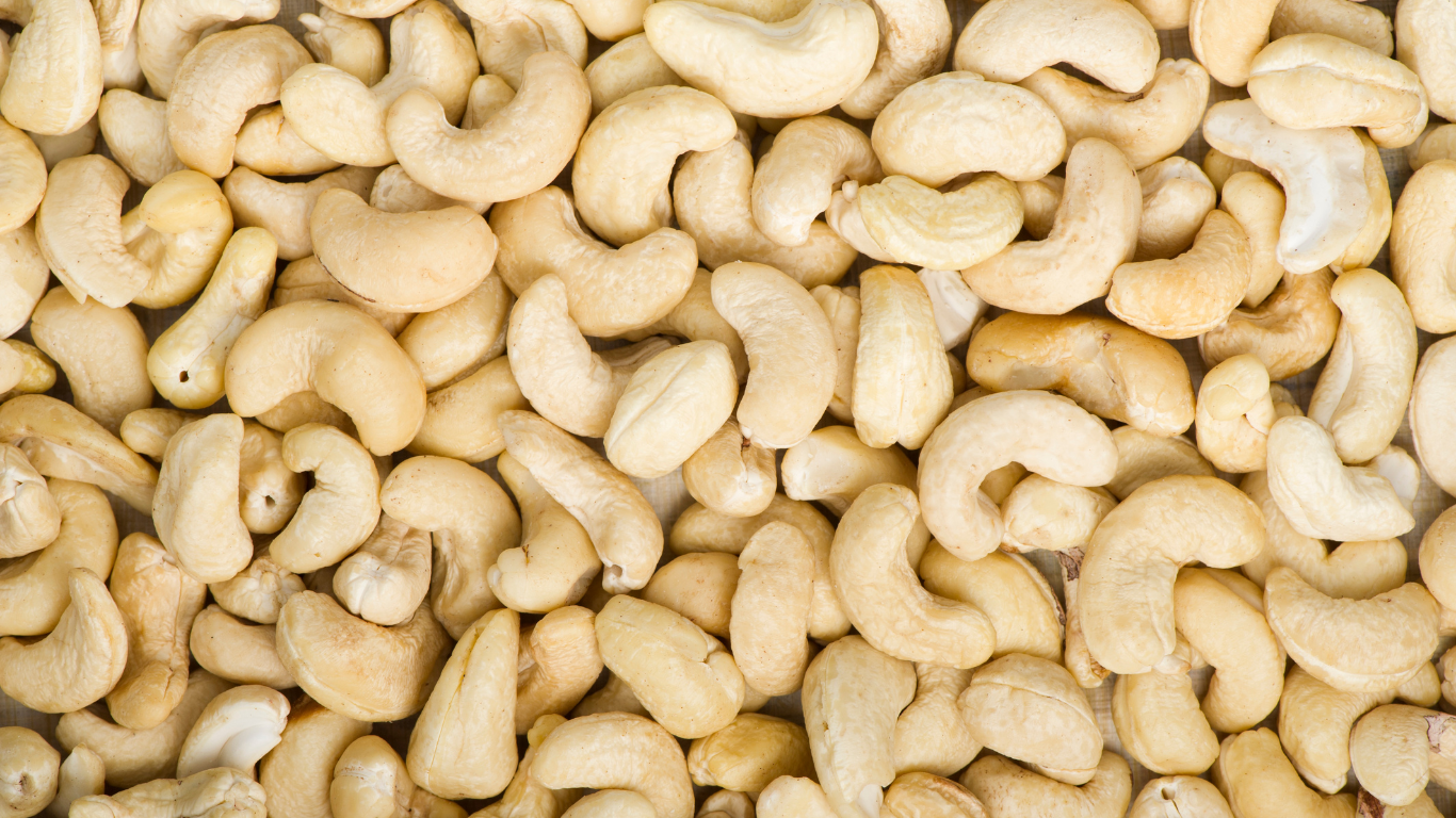Cashew Export
