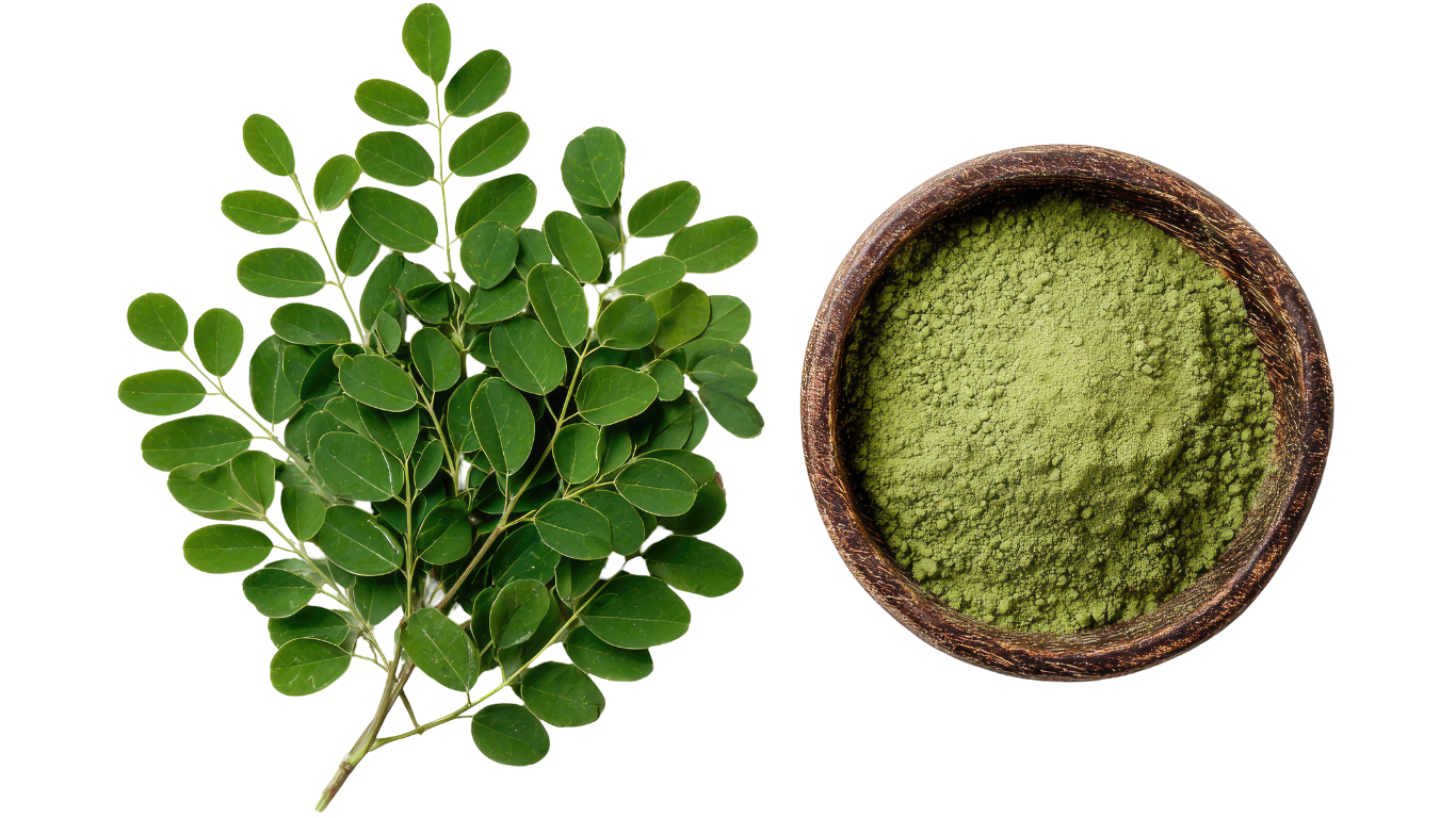 Moringa Powder Exporter India