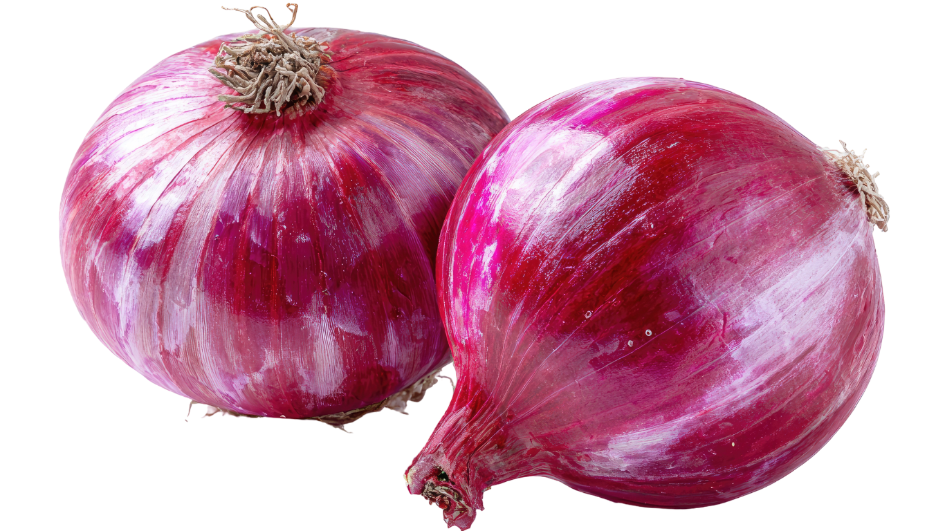 Indian Onion Export