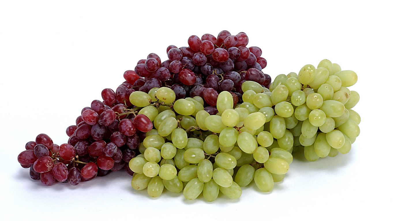Fresh Thompson Seedless Grapes Export India