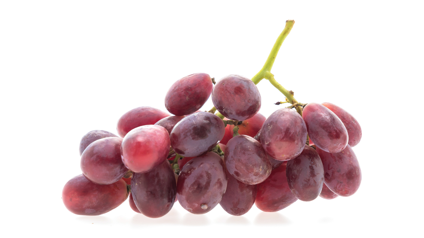 Premium Indian Seedless Grapes Export