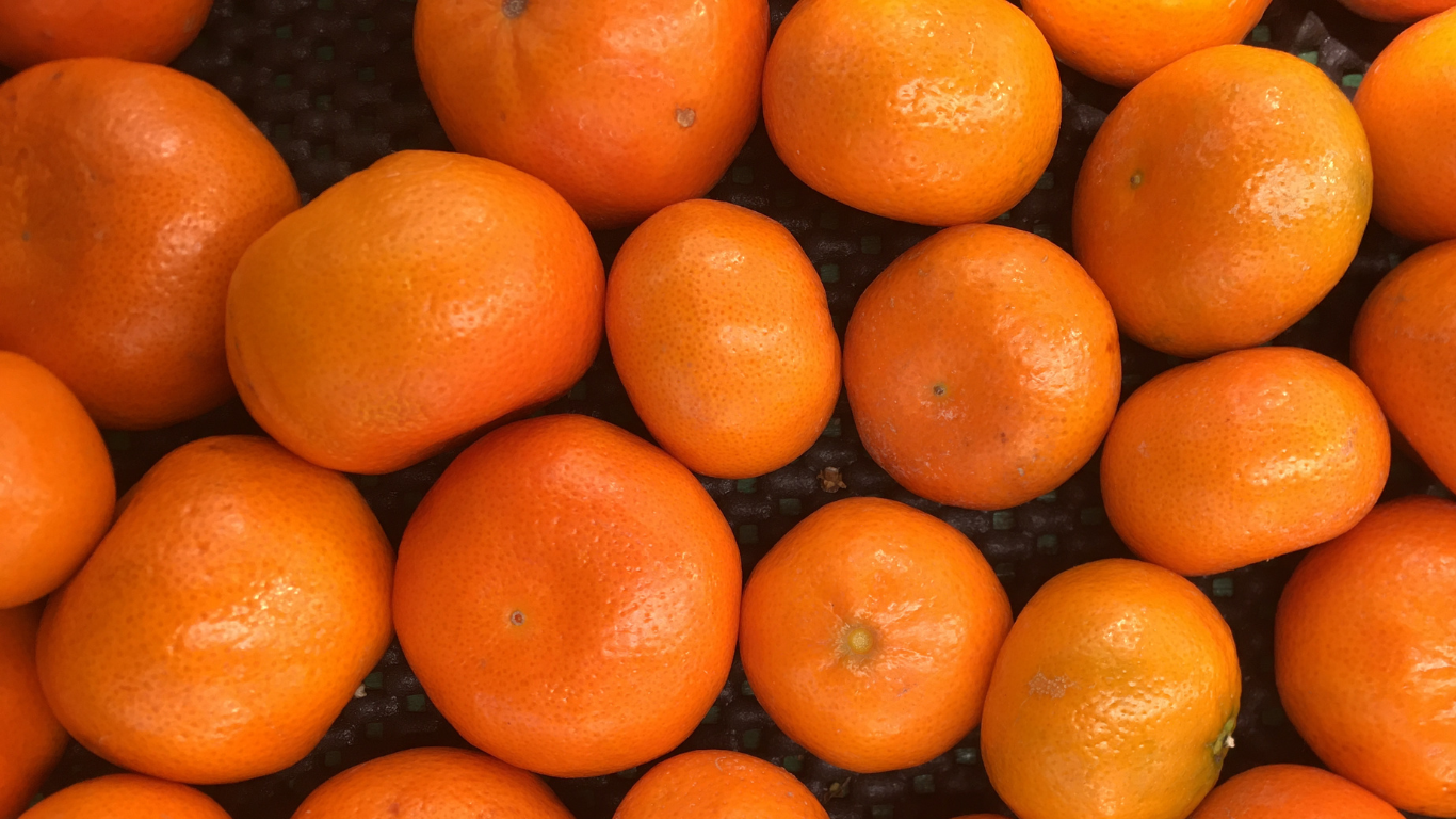 Export Grade Nagpur Oranges India