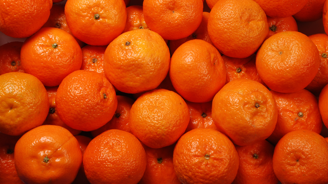Fresh Indian Orange Export Supplier
