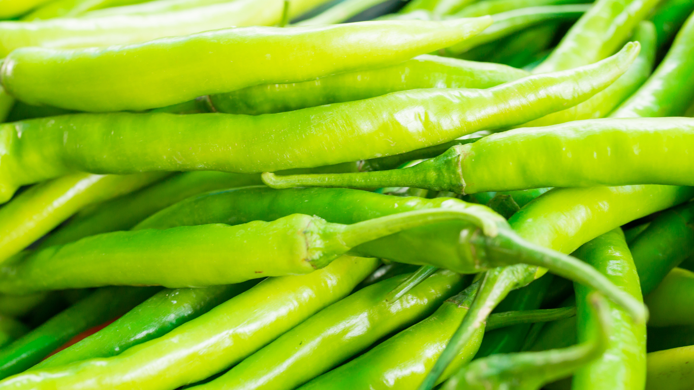       Fresh Green Chillies Exporter from India - PAMS International